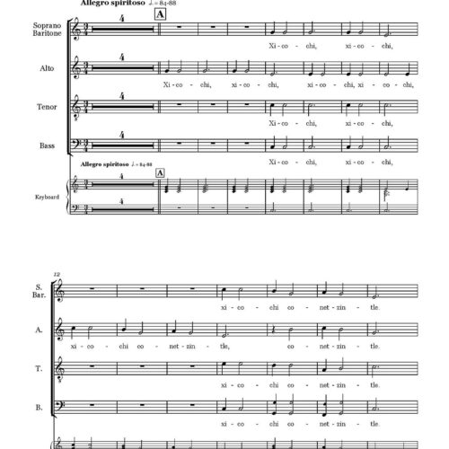 Tleycantimo choquiliya - Fernandes Gaspar