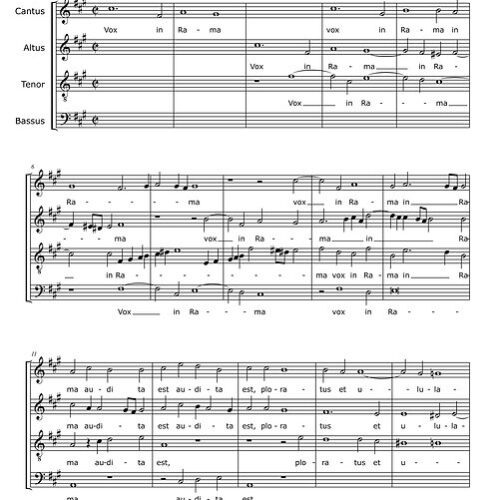 Vox in Rama - Zielensky Mikolaj