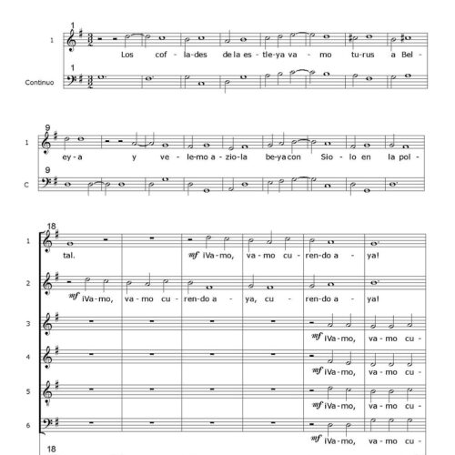 Los coflades de la estleya - De Araujo Juan