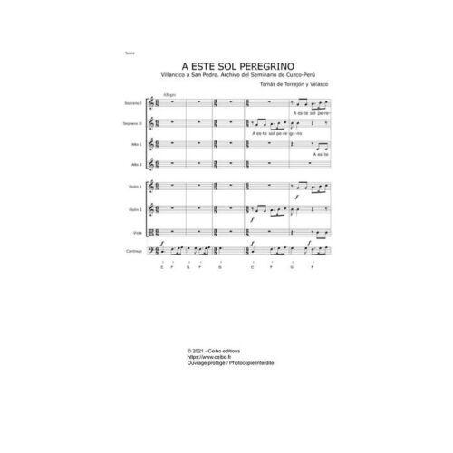 fc46c2_9d9c0d1cdde14cc994117f5761ac38c7~mv2 A este sol peregrino - Tomás de Torrejón y Velasco